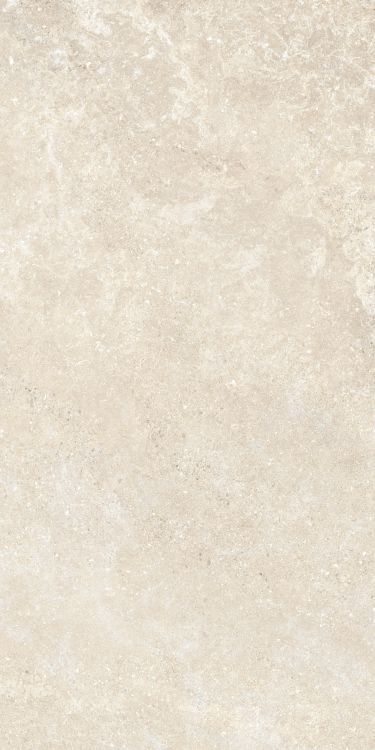 Untamed Wander Warm 24 x 48